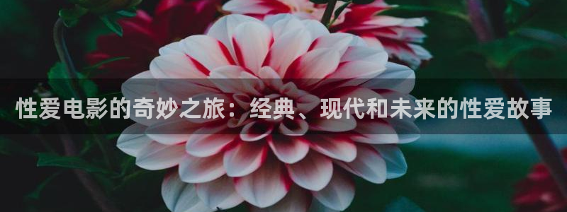 好看影院：性愛電影的奇妙之旅：經典、現代和未來的性愛故事